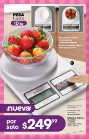 Catálogo Fuller Página 38