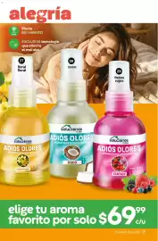 Catálogo Fuller Página 7