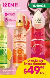 Catálogo Fuller Página 71