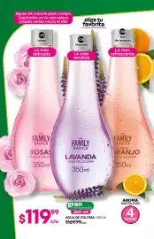 Catálogo Fuller Página 76