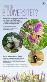 REMA 1000 tilbudsavis Side 2