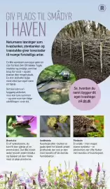 REMA 1000 tilbudsavis Side 5