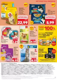 Kaufland gazetka tydzień 10 Strona 55