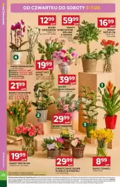 Stokrotka gazetka tydzień 10 Strona 14