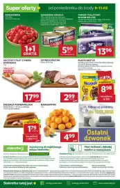 Stokrotka Market gazetka tydzień 10 Strona 38