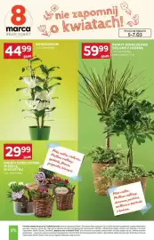 Stokrotka Market gazetka tydzień 10 Strona 9