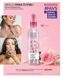 Catálogo Avon Página 100