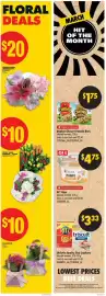 No Frills flyer week 10 Page 8