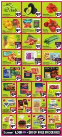 Chalo FreshCo flyer week 10 Page 3