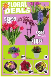 Chalo FreshCo flyer week 10 Page 5