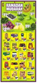 Chalo FreshCo flyer week 10 Page 7