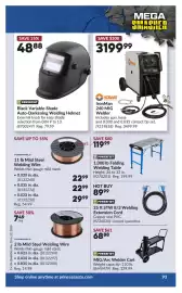 Princess Auto flyer Page 98