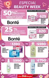 Folleto Supermercados DIA semana 10 Página 11