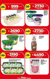Folleto Supermercados DIA semana 10 Página 17