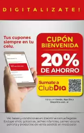 Folleto Supermercados DIA semana 10 Página 27