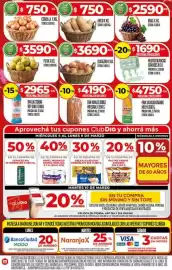 Folleto Supermercados DIA semana 10 Página 4