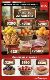 Folleto Supermercados DIA semana 10 Página 5