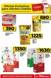 Folleto Supermercados DIA semana 10 Página 52