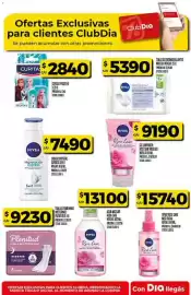 Folleto Supermercados DIA semana 10 Página 54