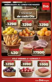 Folleto Supermercados DIA semana 10 Página 1