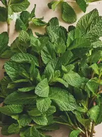 Tesco leaflet Page 29