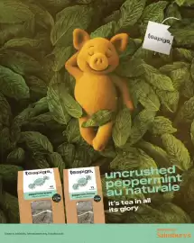 Sainsbury's leaflet Page 112