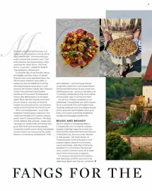 Sainsbury's leaflet Page 124