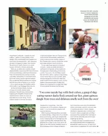 Sainsbury's leaflet Page 127