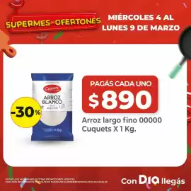 Folleto Supermercados DIA semana 10 Página 3