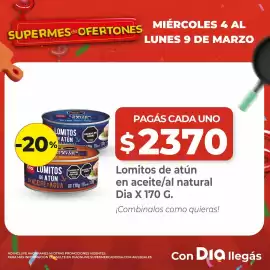 Folleto Supermercados DIA semana 10 Página 4