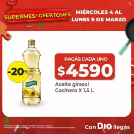 Folleto Supermercados DIA semana 10 Página 5