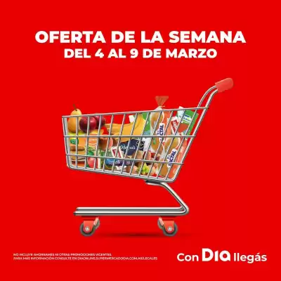 Folleto Supermercados DIA (válido hasta 9-03)
