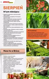 Bricomarche gazetka Strona 129