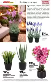 Bricomarche gazetka Strona 33