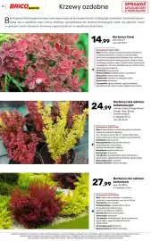Bricomarche gazetka Strona 61