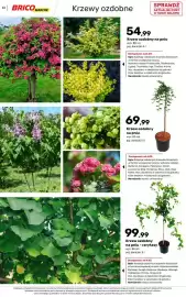 Bricomarche gazetka Strona 63