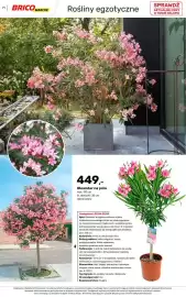Bricomarche gazetka Strona 71