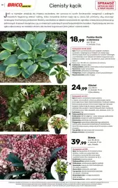 Bricomarche gazetka Strona 72