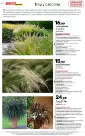 Bricomarche gazetka Strona 76