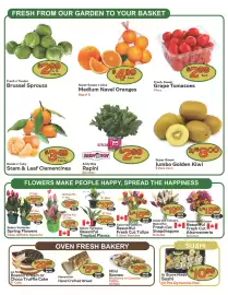 The Garden Basket flyer week 10 Page 2