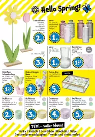 TEDi Prospekt Seite 25