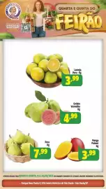 Folheto Vovó Zuzu Página 4