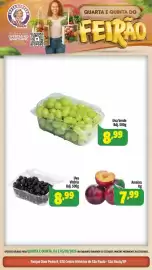 Folheto Vovó Zuzu Página 6