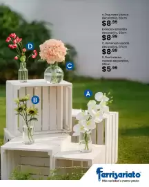 Catálogo Ferrisariato Página 2