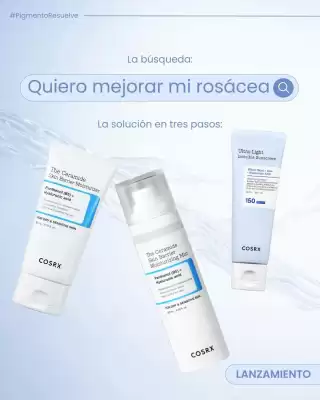 Catálogo Pigmento (válido hasta 5-03)