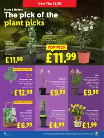 Lidl leaflet week 11 Page 22