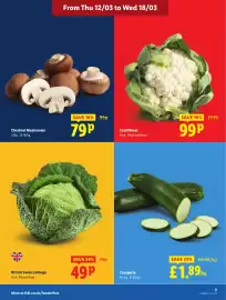 Lidl leaflet week 11 Page 3