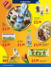 Lidl leaflet week 11 Page 31