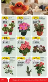 Auchan akciós újság hét 10 Oldal 50