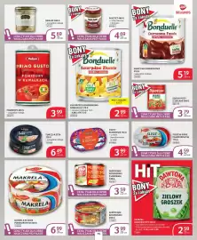 Selgros gazetka Strona 15